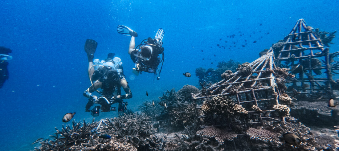 GoPro Divemaster Ceningan Divers