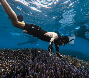 Coral Diving Ceningan Divers