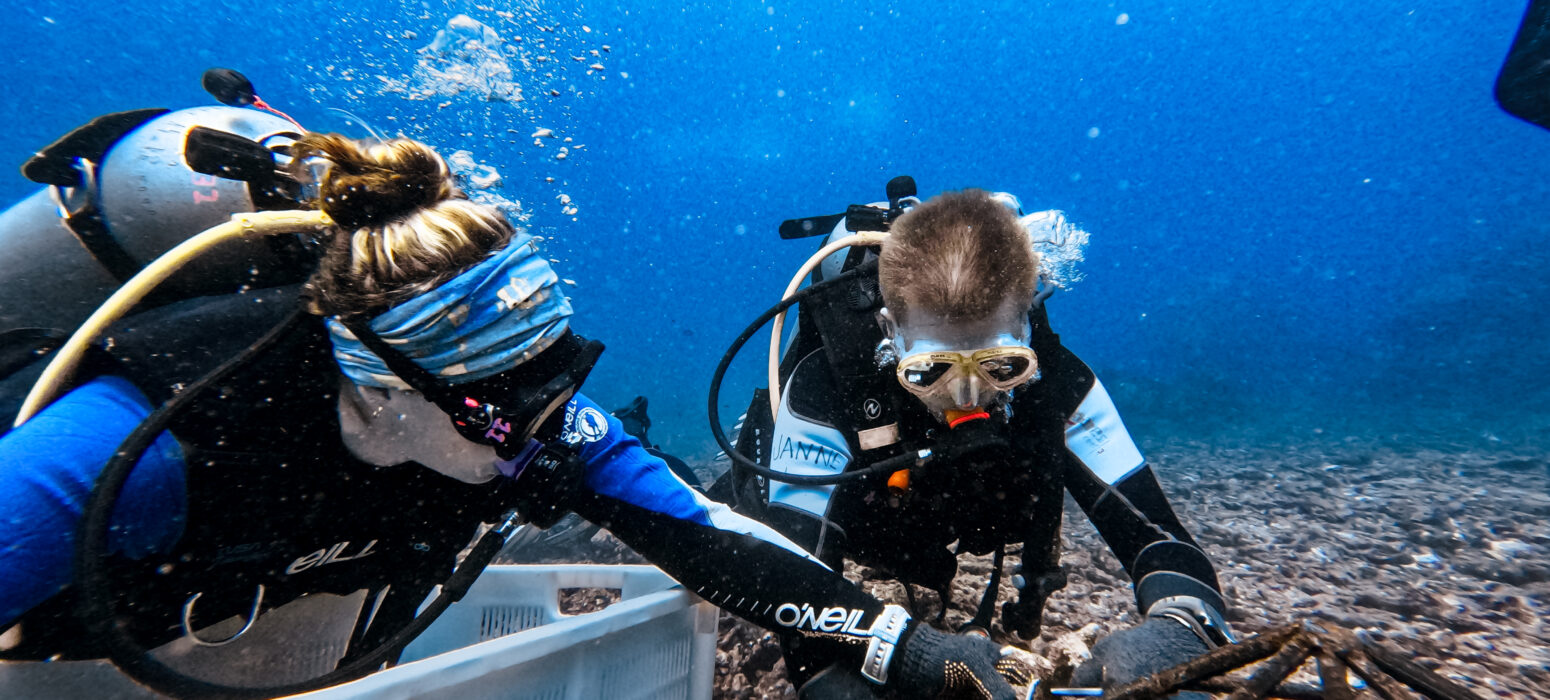 Coral Restoration in Bali