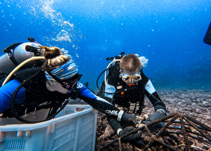 Coral Restoration in Bali