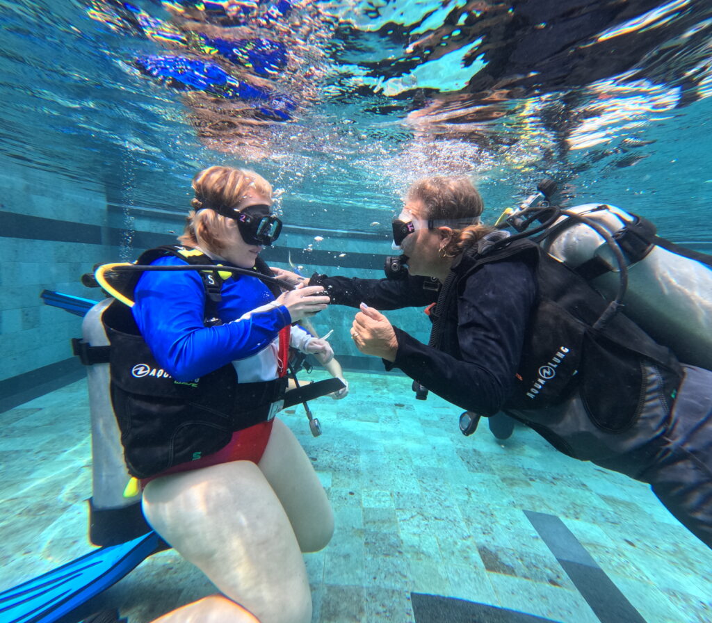 PADI 5-Star Instructor Development Dive Resort at Ceningan Divers