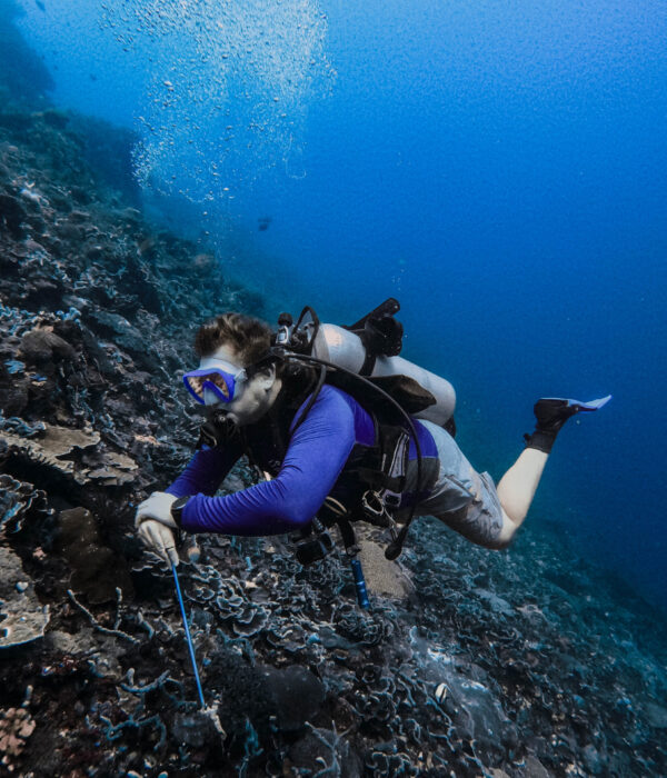 Conservation Courses Ceningan Divers