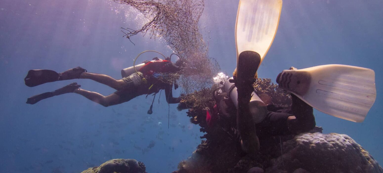 PADI AWARE Course Ceningan Divers