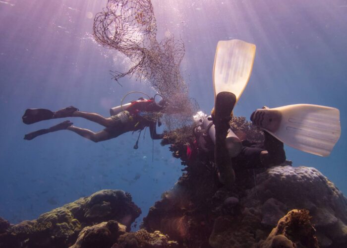 PADI AWARE Course Ceningan Divers