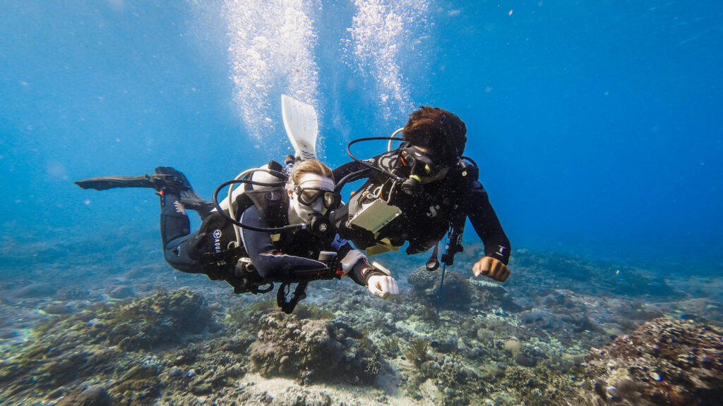 PADI Instructor Development Course at Ceningan Divers