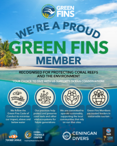 Marine Conservation Bali Scuba diving Nusa Penida Nusa Lembongan turtle manta ray greenfins