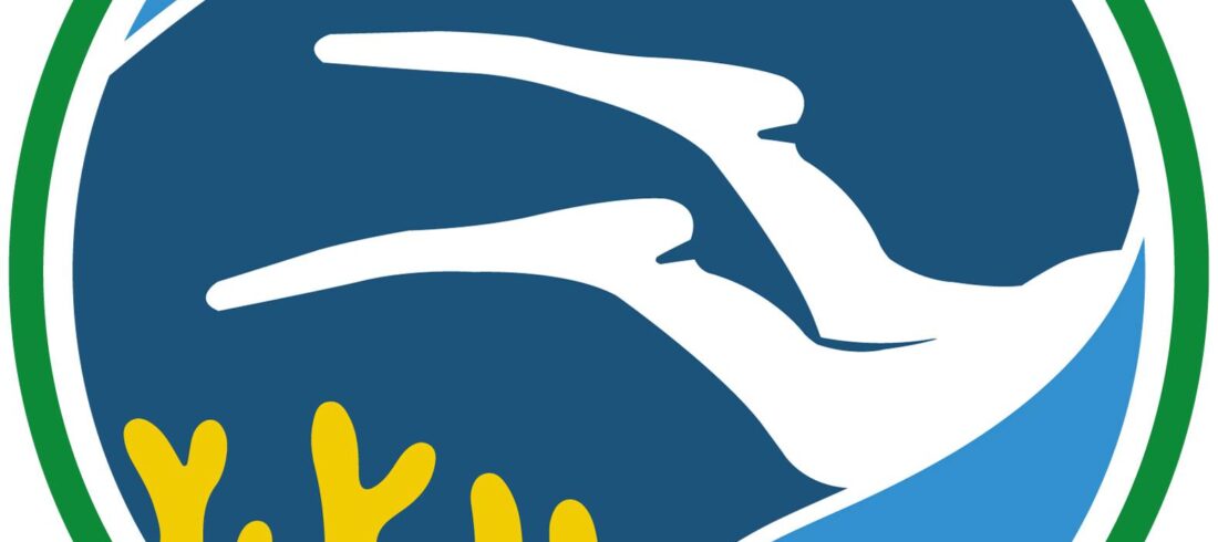 conservation Bali Nusa Penida Nusa Lembongan Nusa Ceningan Turtle manta ray mola ocean scuba diving PADI
