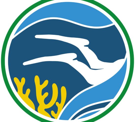 conservation Bali Nusa Penida Nusa Lembongan Nusa Ceningan Turtle manta ray mola ocean scuba diving PADI