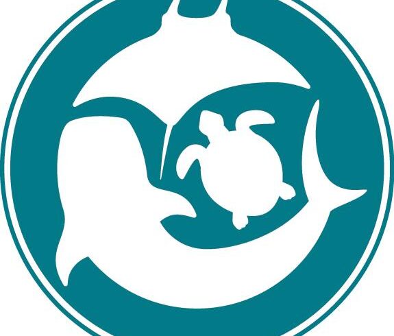 Marine Megafauna Foundation conservation Bali Nusa Penida Nusa Lembongan Nusa Ceningan Turtle manta ray mola ocean scuba diving PADI