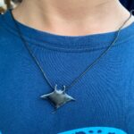 Marine Conservation Bali Scuba diving Nusa Penida Nusa Lembongan turtle manta ray