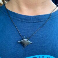Marine Conservation Bali Scuba diving Nusa Penida Nusa Lembongan turtle manta ray