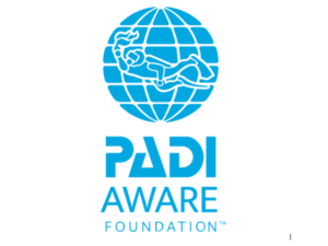 conservation Bali Nusa Penida Nusa Lembongan Nusa Ceningan Turtle manta ray mola ocean scuba diving PADI