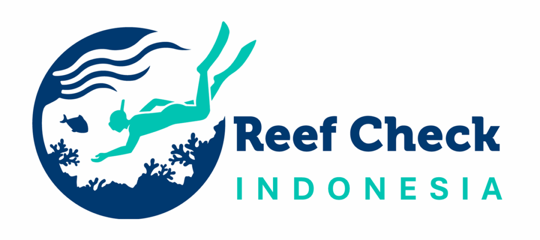 Reef Check conservation Bali Nusa Penida Nusa Lembongan Nusa Ceningan Turtle manta ray mola ocean scuba diving PADI