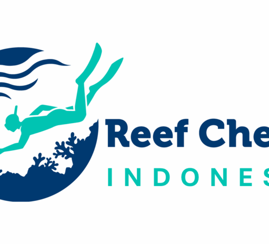 Reef Check conservation Bali Nusa Penida Nusa Lembongan Nusa Ceningan Turtle manta ray mola ocean scuba diving PADI