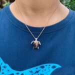 conservation Bali Nusa Penida Nusa Lembongan Nusa Ceningan Turtle manta ray mola ocean scuba diving PADI