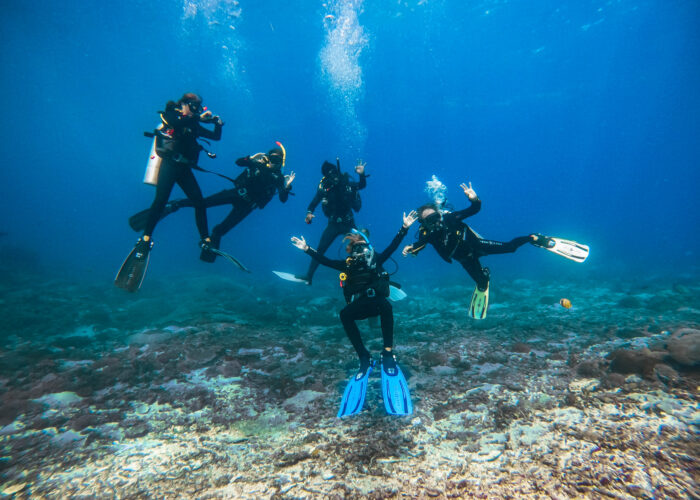 Small groups big fun bali nusa penida