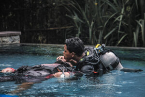 Eco-dive Eco-dive internship Turtle conservation Ocean conservation 