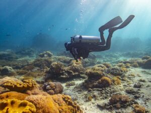 Manta Point Nusa Penida PADI Bali marine conservation women friendly dive center