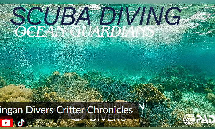 Conservation Tourism Eco-Diving Marine Biodiversity Ceningan Divers I-Naturalist Nusa Penida Citizen Science