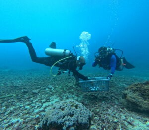 where to dive in Bali conservation dive packages