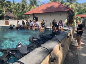 Diving in Bali Dive Guide Bali Dive Guide Nusa Penida Dive site guide