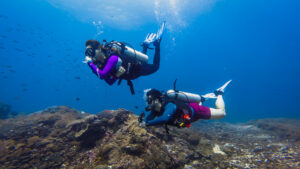 Bali diving scuba diving dive packages holiday adventure Penida