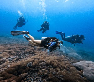 PADI courses Nusa Ceningan Group dive packages Bali
Nusa Penida group diving Ceningan Divers PADI center