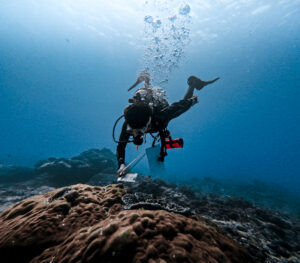 ceningan divers conservation bali scuba diving mpa reefs turtle