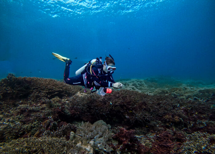 Citizen Science restoration conservation Bali