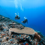 World-class dive sites Pro PADI instructors Small groups, big fun