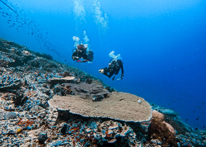 World-class dive sites Pro PADI instructors Small groups, big fun