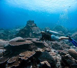 coral reef restoration conservation nusa ceningan lembongan penida