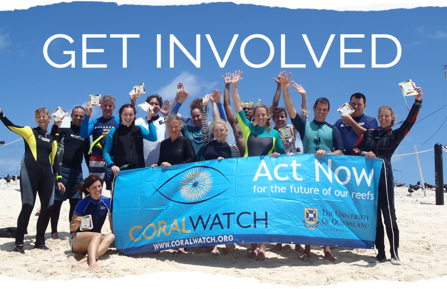 coral conservation reef restoration bali dive guide